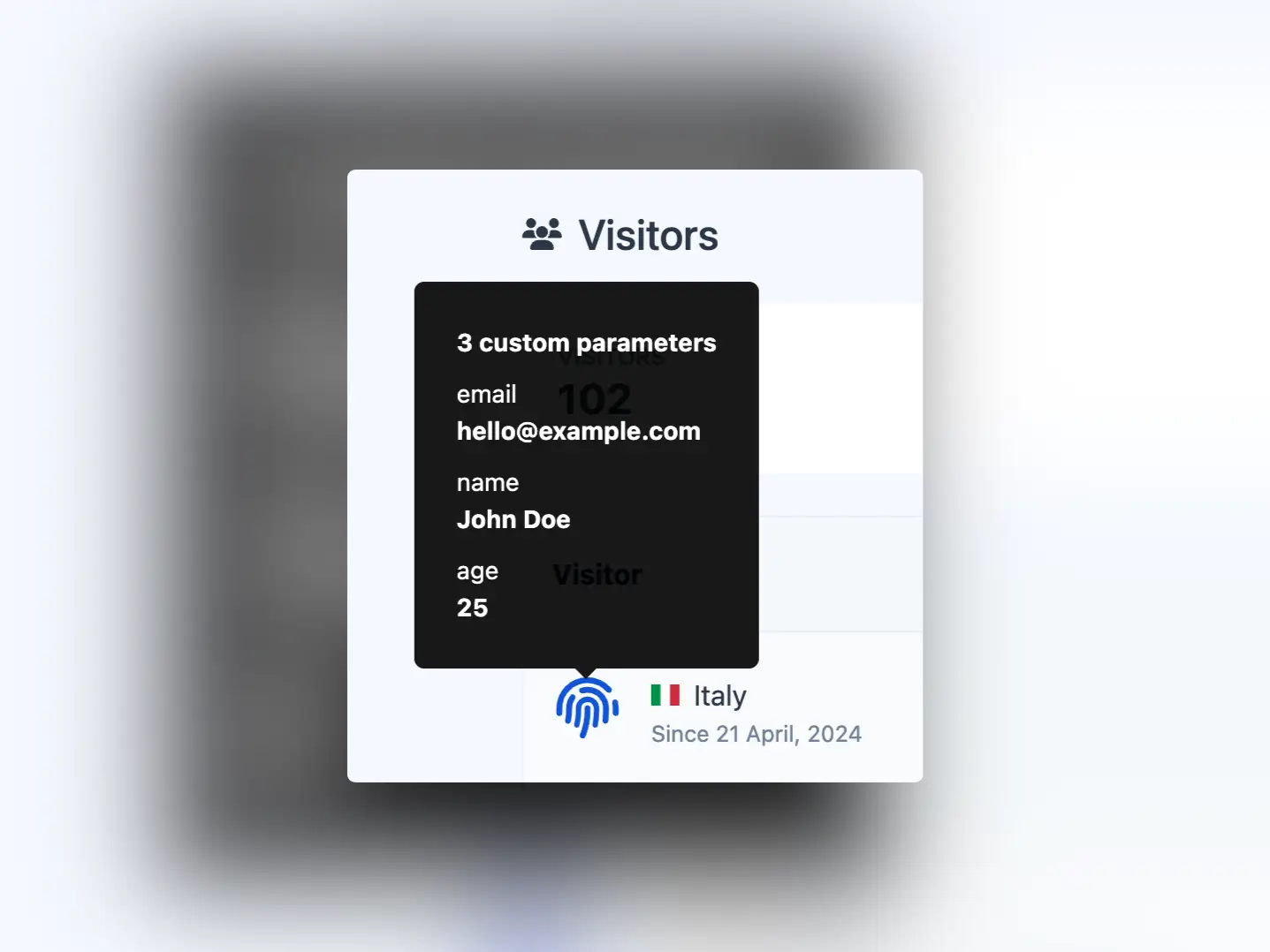 Captura de pantalla del ejemplo de parámetros personalizados de visitante
